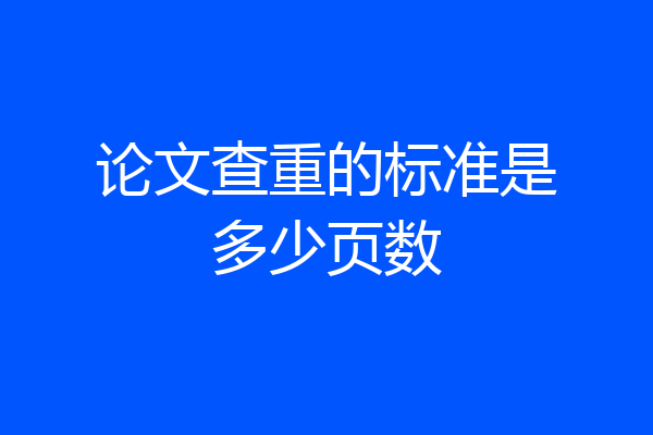 论文查重的标准是多少页数