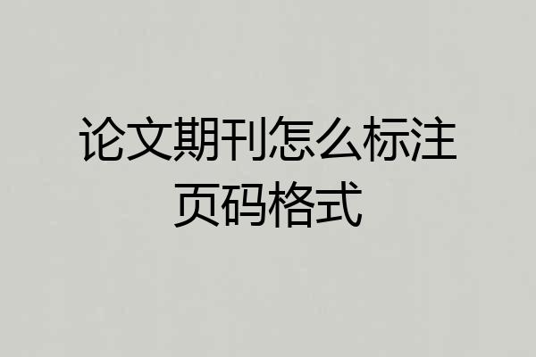 论文期刊怎么标注页码格式