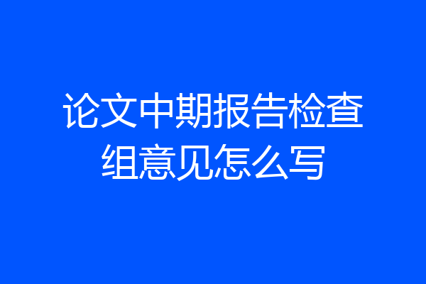 论文中期报告检查组意见怎么写