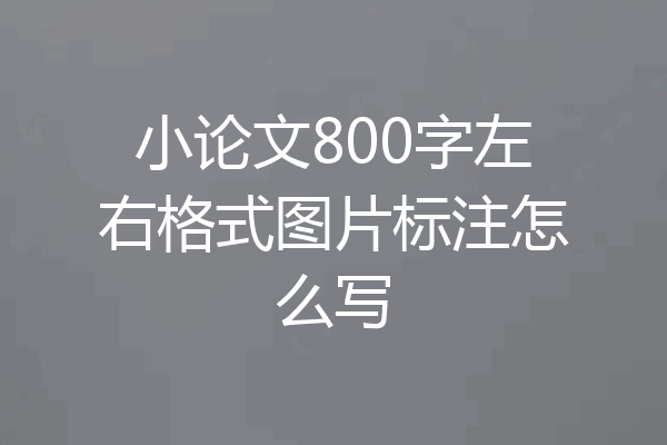 小论文800字左右格式图片标注怎么写