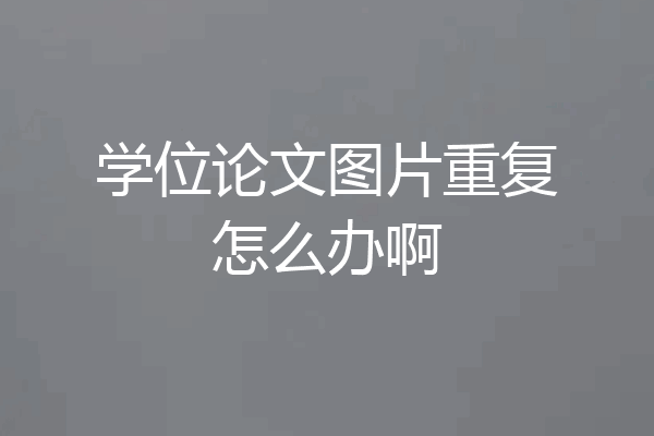 学位论文图片重复怎么办啊
