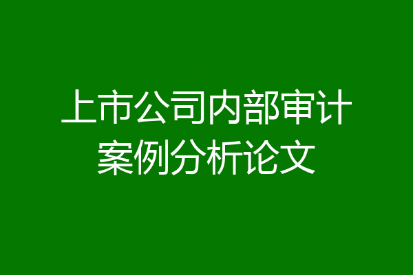 上市公司内部审计案例分析论文