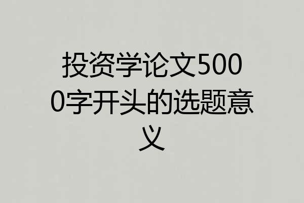 投资学论文5000字开头的选题意义