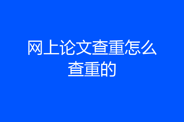 网上论文查重怎么查重的