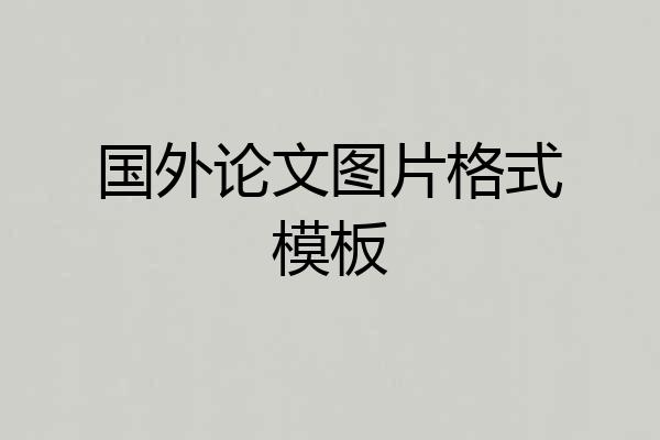 国外论文图片格式模板