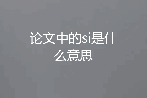 论文中的si是什么意思