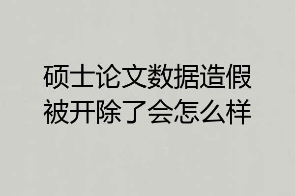 硕士论文数据造假被开除了会怎么样