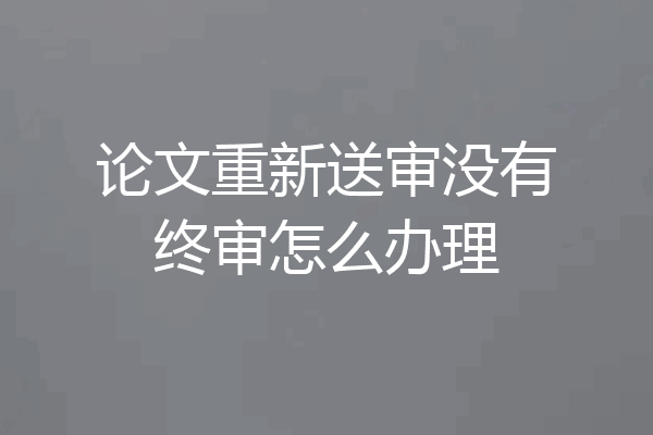 论文重新送审没有终审怎么办理