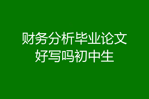 财务分析毕业论文好写吗初中生