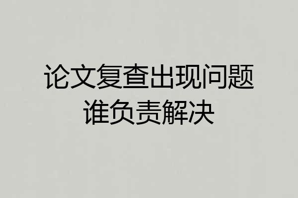 论文复查出现问题谁负责解决