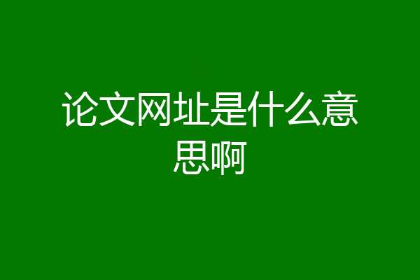论文网址是什么意思啊