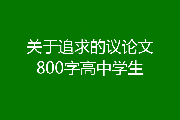 关于追求的议论文800字高中学生