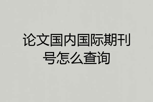 论文国内国际期刊号怎么查询