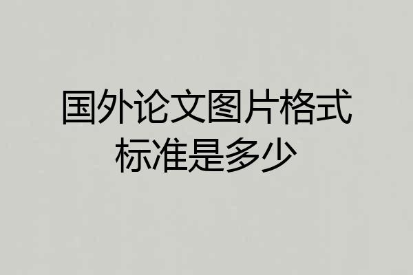 国外论文图片格式标准是多少