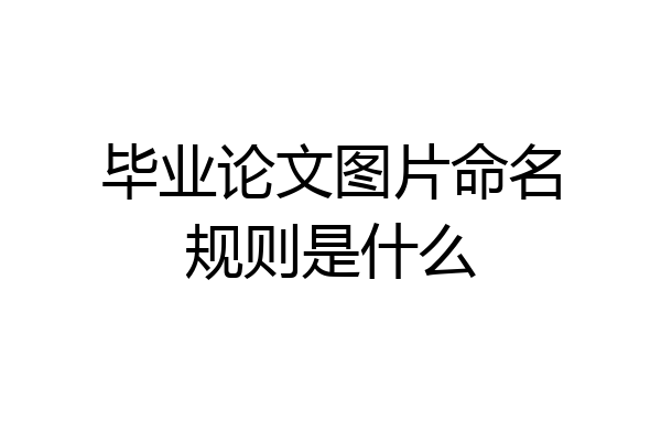 毕业论文图片命名规则是什么