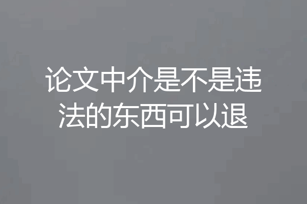 论文中介是不是违法的东西可以退