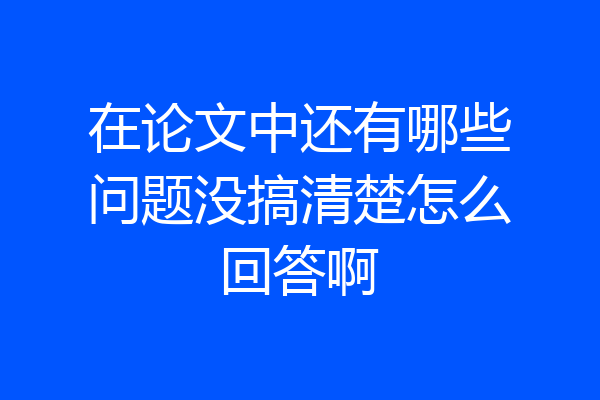 在论文中还有哪些问题没搞清楚怎么回答啊