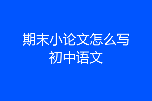 期末小论文怎么写初中语文