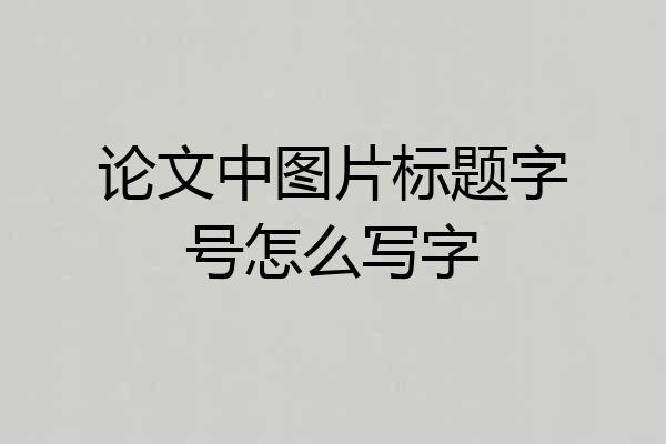 论文中图片标题字号怎么写字