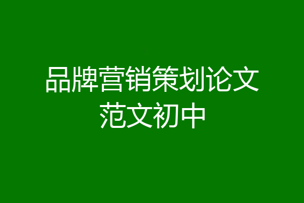 品牌营销策划论文范文初中