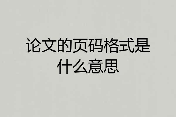 论文的页码格式是什么意思