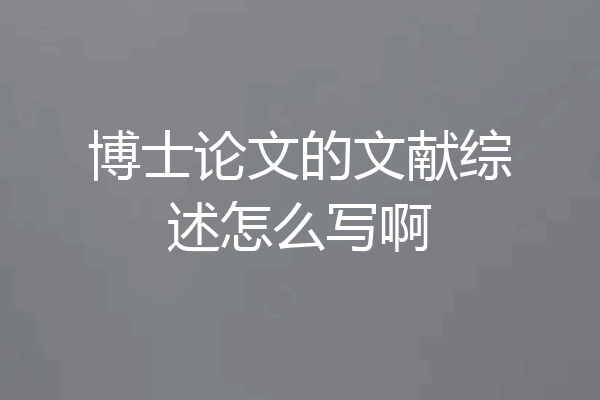 博士论文的文献综述怎么写啊