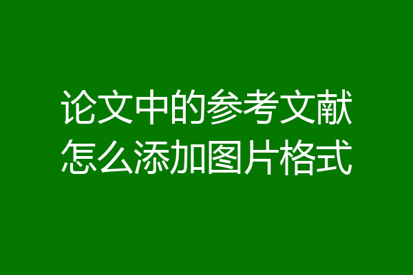论文中的参考文献怎么添加图片格式