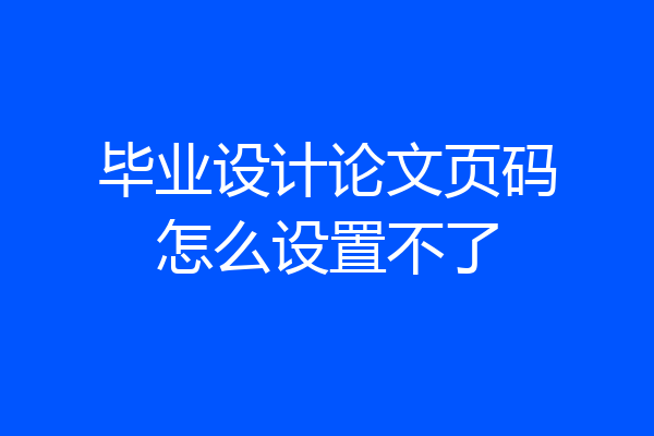 毕业设计论文页码怎么设置不了