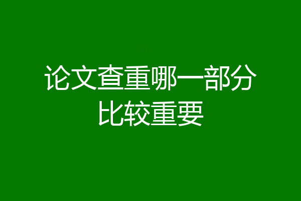 论文查重哪一部分比较重要