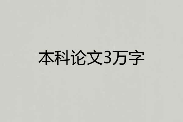 本科论文3万字