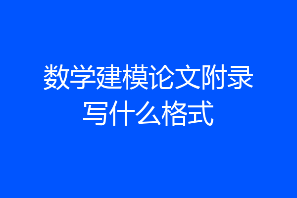 数学建模论文附录写什么格式