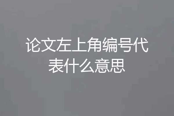 论文左上角编号代表什么意思