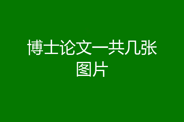 博士论文一共几张图片