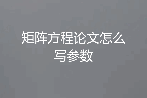 矩阵方程论文怎么写参数