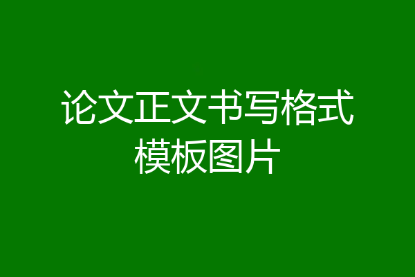 论文正文书写格式模板图片