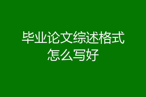 毕业论文综述格式怎么写好