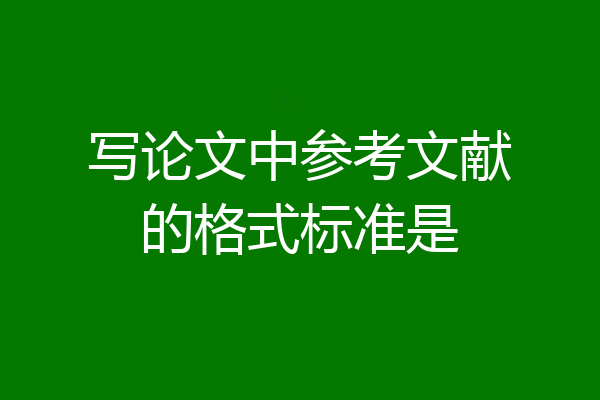 写论文中参考文献的格式标准是