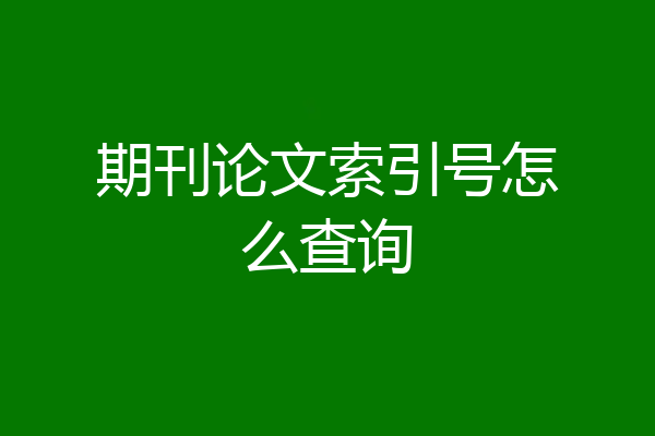 期刊论文索引号怎么查询