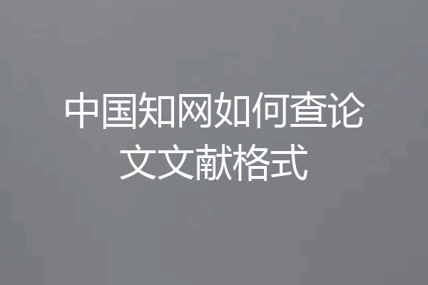 中国知网如何查论文文献格式