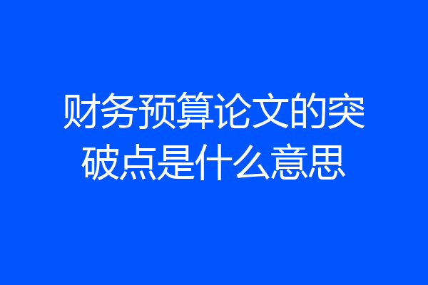 财务预算论文的突破点是什么意思