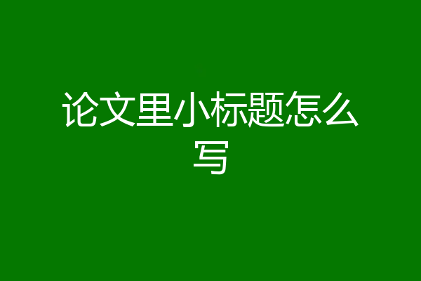 论文里小标题怎么写