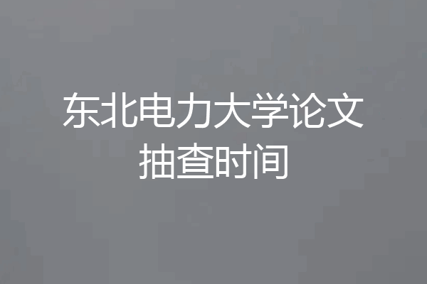 东北电力大学论文抽查时间