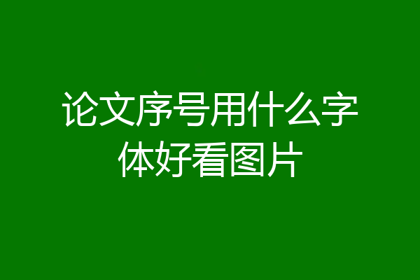 论文序号用什么字体好看图片