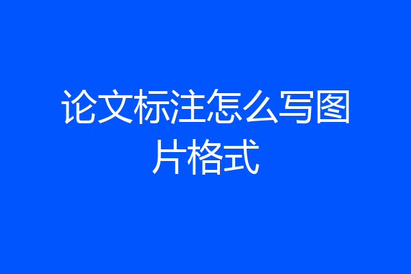 论文标注怎么写图片格式