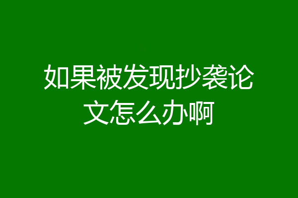 如果被发现抄袭论文怎么办啊