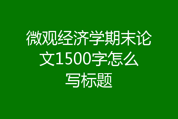 微观经济学期末论文1500字怎么写标题
