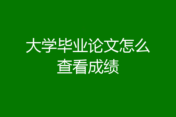 大学毕业论文怎么查看成绩
