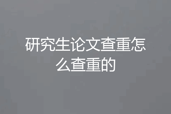 研究生论文查重怎么查重的