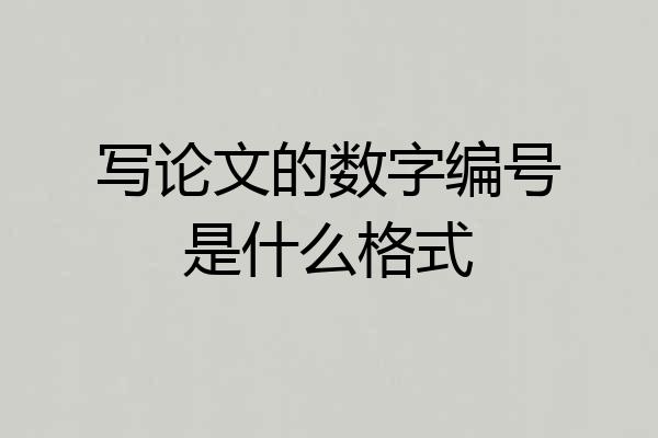 写论文的数字编号是什么格式