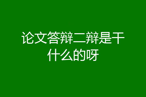 论文答辩二辩是干什么的呀
